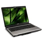 #1: Toshiba Satellite Pro L350-S1001V - Core 2 Duo T8100 / 2.1 GHz - Centrino - RAM 2 GB - HDD 160 GB - DVD?RW (?R DL) /...