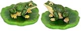 Frog on Lily Pad