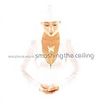 Click here to buy Smashing The Ceiling by  Magdalen Hsu-Li .