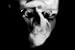Books : Exorcism/Aesthetic Terrorism
