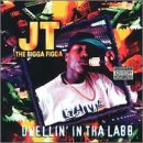 Dwellin` in tha Labb