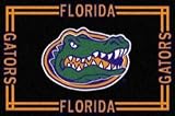 Florida Gators Area Rug