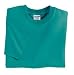 NEW Gildan Ultra Cotton - Youth 100% Cotton T-Shirt Jade Dome-L