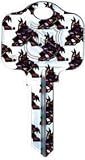 Phoenix Coyotes Schlage SC1 House Key