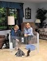 Marshall Pet Small Animal Pen
