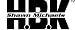 WWE HBK Rub-On Window Decal Sticker S-WWE-0006-R