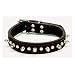 C LTH SPIKE COLLAR 1X20-BLK