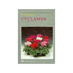 Cyclamen