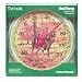 Taylor Made Products 6709N Deer Indoor/outdoor Thermometer