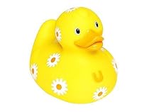 Bud Daisey Duck, Medium