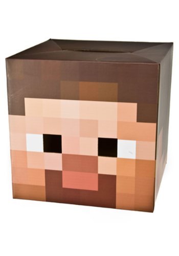 Minecraft 12