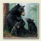 Black Bear Family Wildlife Lodge Home Decor Absorbastone Coasters Set/4