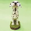 Dalmatian Dog Bobble Head
