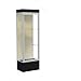 Waddell Edge Series Floor Display Case Frame Color: Satin, Base Color: Black, Case Backing: Silk