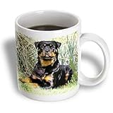 Dogs Rottweiler - Rottweiler - Mugs