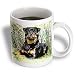 Dogs Rottweiler - Rottweiler - Mugs