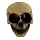 Disco Flashing Skulls