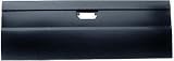 98-00 NISSAN FRONTIER truck TAILGATE SUV, With Bed (1998 98 1999 99 2000 00) 760-3 934008B430
