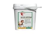 Vita Flex Accel Lifetime 5lb