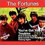You've Got Your Troubles