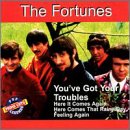 The Fortunes - Youve Got Your Troubles Lyrics - Zortam Music