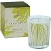 Thymes Frasier Fir Aromatic Votive Candle 2.25 oz