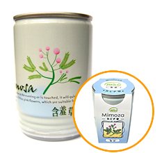 “繊細”な花…ミモザ 「おじぎそう」ふしぎ缶