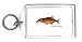 Keychain with aquarium, scientific, sea, fish