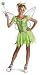 Search : Disney Deluxe Teen Tinker Bell Halloween Costume