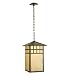 Meyda 72077 Watchtower Lantern Pendant Light Fixture