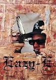 POS 766 - POSTERFAHNE / EAZY-E - PHOTO 3