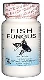 Fish Fungus 100 count