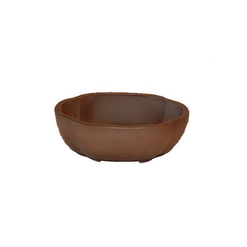 12cm Tokoname Quality Oval Bonsai Pot
