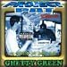 Ghetty Green