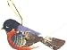 Accent Design Floral and Garden Accents Medium Bird Robin with String 3 1/4-Red/Blue/Black/Brown