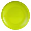 Zak Designs Seaside Kiwi 11-Inch Dinner Plates, Set of 4