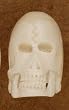 Bone Skull Bead, Large