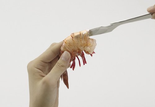 Cover image : NewCookDay えびの殻むき DG-2140