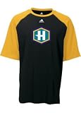 Hornets adidas Swingman Shorts - Big Kids ( sz. XL, Teal : Hornets )