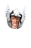 Thor Dlx Adult Helmet