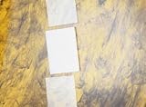 VWR Electrophoresis Plates Bio-Rad Mini-Protean II Plate, Pack of 10