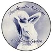 SIOUXSIE AND THE BANSHEES - Hong Kong Garden - Button / Pin