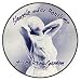 SIOUXSIE AND THE BANSHEES - Hong Kong Garden - Button / Pin