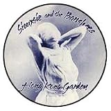 SIOUXSIE AND THE BANSHEES - Hong Kong Garden - Button / Pin