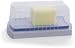 Progressive GBD-1 Clear Plastic Butter Keeper Dish
