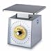 Edlund Premier Series Stainless Scales
