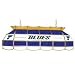 NHL St. Louis Blues Stained Glass 40 inch Lighting Fixture