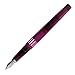 Noodler's Ink Nib Creaper Standard Flex Fountain Pen - King Philip Purple