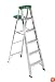 Werner 356 225-Pound Duty Rating Aluminum Stepladder, 6-Foot
