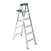 Werner 356 225-Pound Duty Rating Aluminum Stepladder, 6-Foot